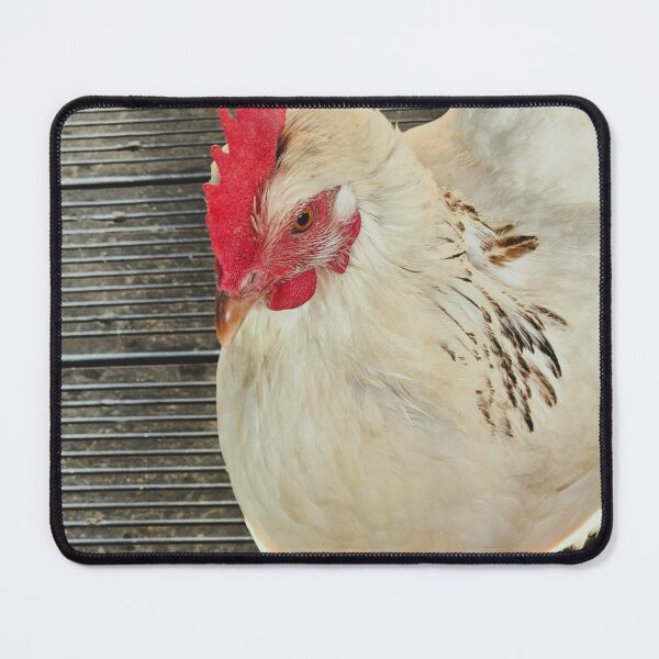 Item preview, White Leghorn Chicken designed and sold by Ms-Bexy.