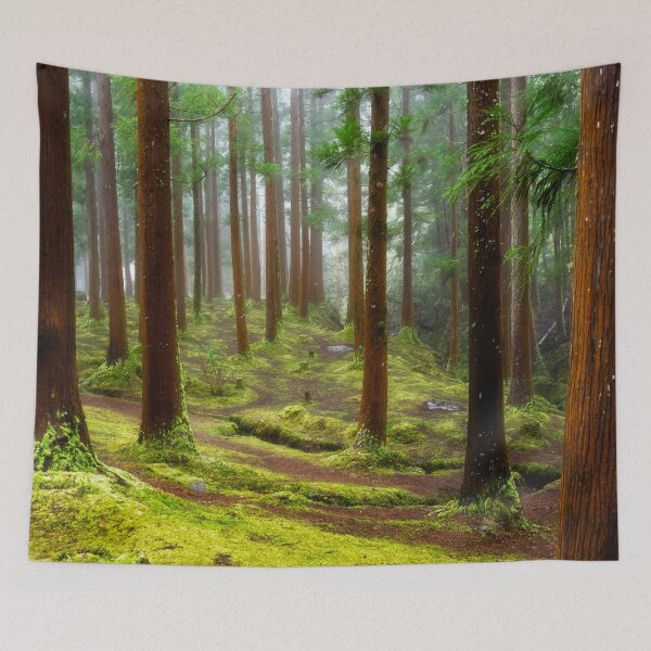 Item preview, Forest on Terceira Island, Azores designed and sold by Kathy Weaver.
