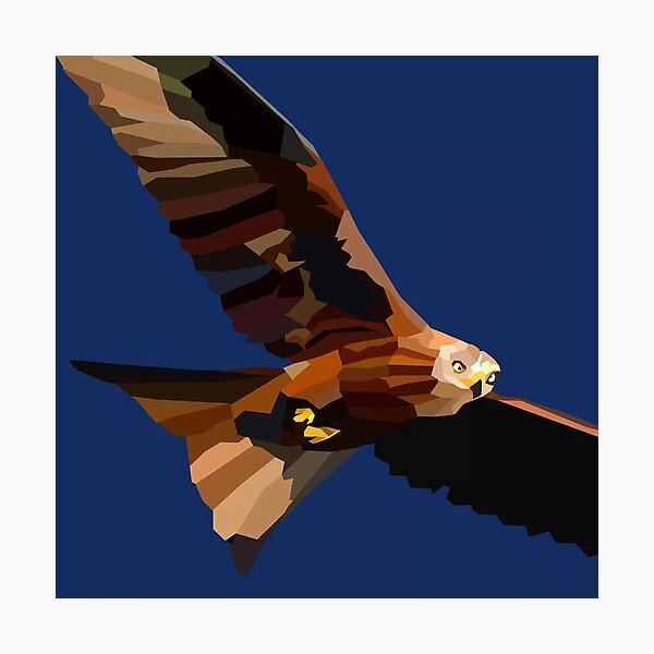 Item preview, Red Kite (Milvus Milvus), Birds of Prey, Wildlife, by Chris Corish  designed and sold by CrookedPaintbrushStudios .