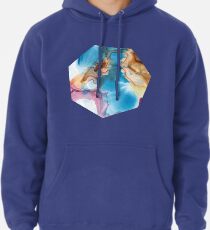 Spring 03 Hoodie