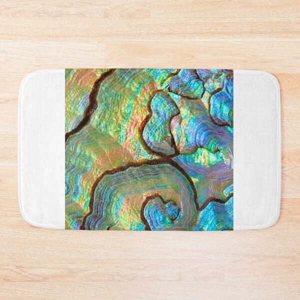 Item preview, Shells & Fossils Nature / FS designed and sold by KrisSJ12.