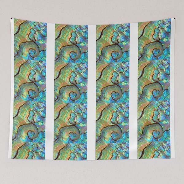 Item preview, Shells & Fossils Nature / FS designed and sold by KrisSJ12.
