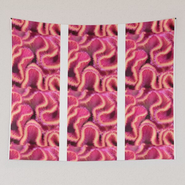 Item preview, Brain coral nature / FS designed and sold by KrisSJ12.