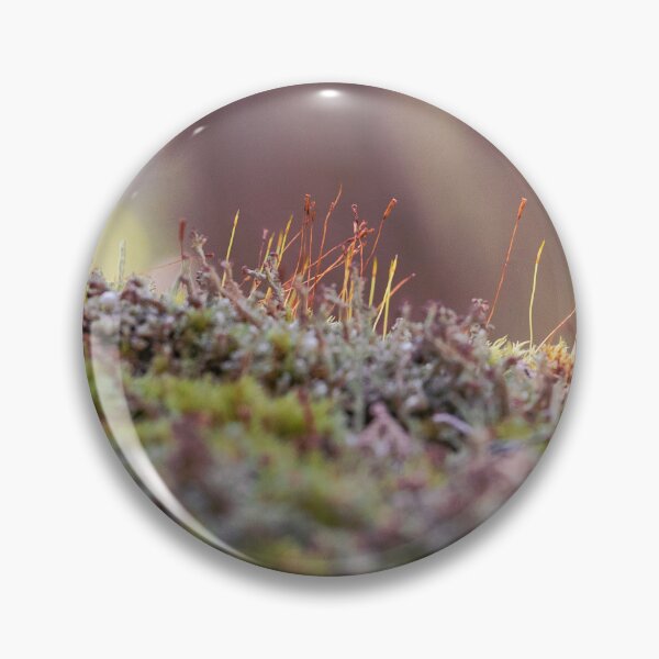 Item preview, the microcosm designed and sold by Mass Monumentalist.