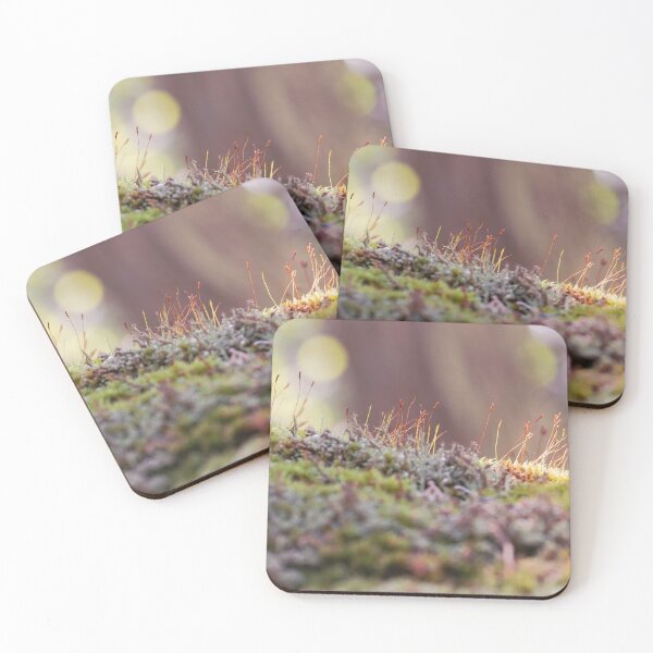 Item preview, the microcosm designed and sold by Mass Monumentalist.