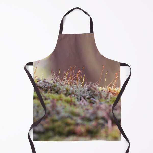 Item preview, the microcosm designed and sold by Mass Monumentalist.