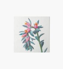Succulent Cluster Art Board