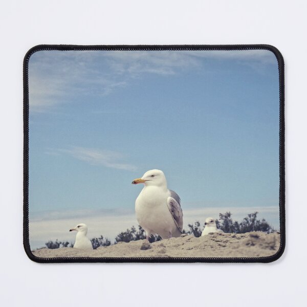 Item preview, Seagulls of West Wittering Beach designed and sold by SEL.Photography.