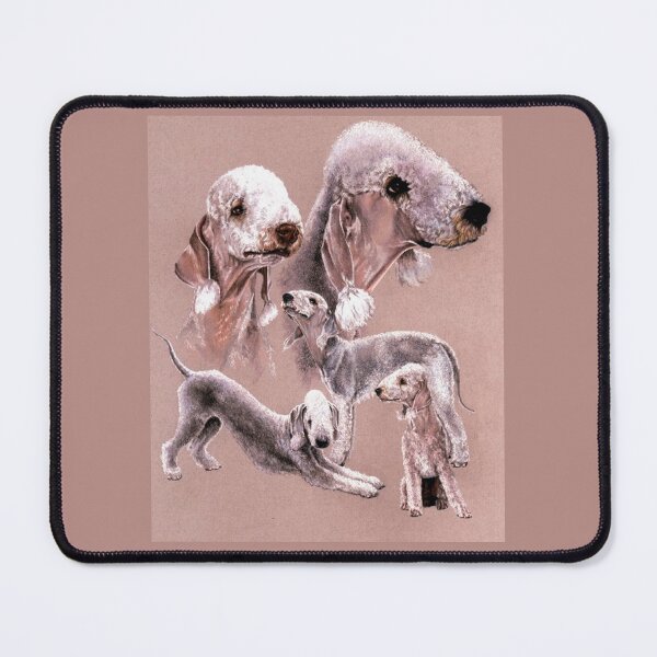 Item preview, Bedlington Terrier Gallimaufry designed and sold by BarbBarcikKeith.