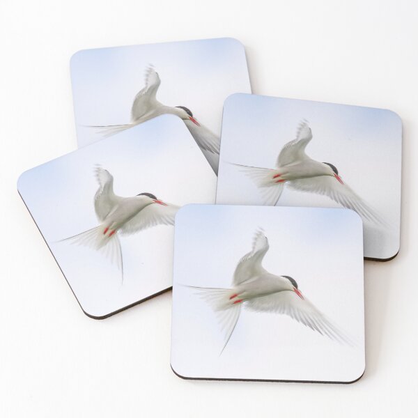 Item preview, Artic Tern  designed and sold by tynesidephotos.