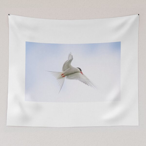 Item preview, Artic Tern  designed and sold by tynesidephotos.