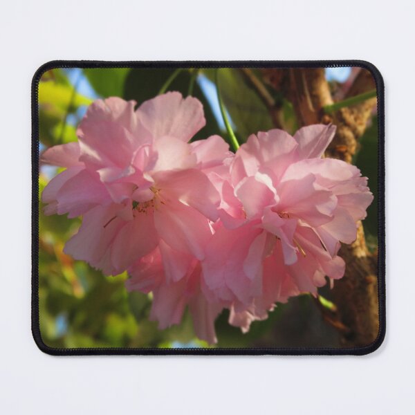 Item preview, Spring blossom designed and sold by RIVER FLORA .