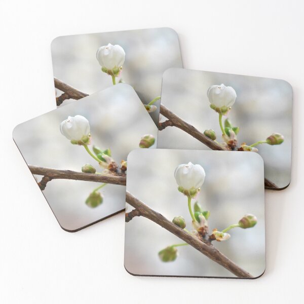 Item preview, Wild plum blossom designed and sold by mariya-ivanova.