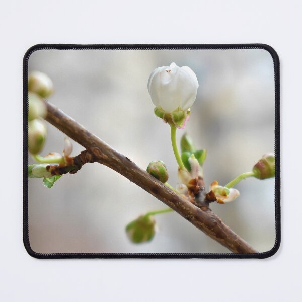 Item preview, Wild plum blossom designed and sold by mariya-ivanova.