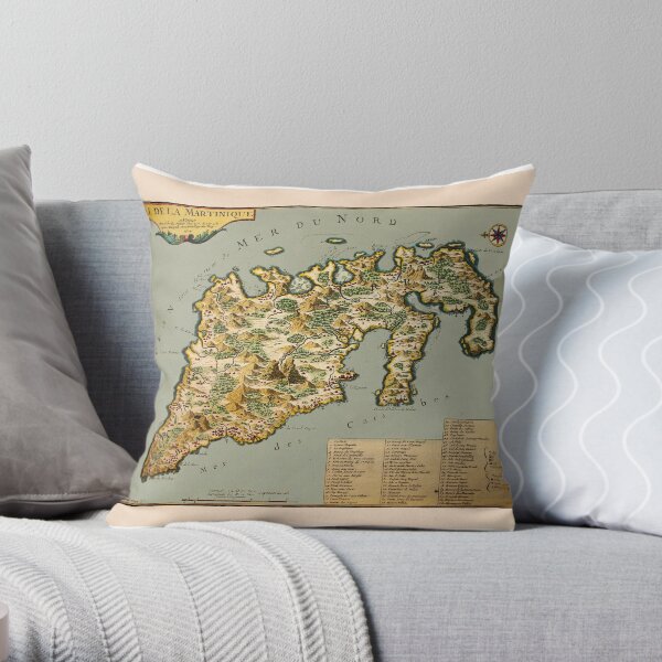 Carte de la Martinique 1704 Coussin