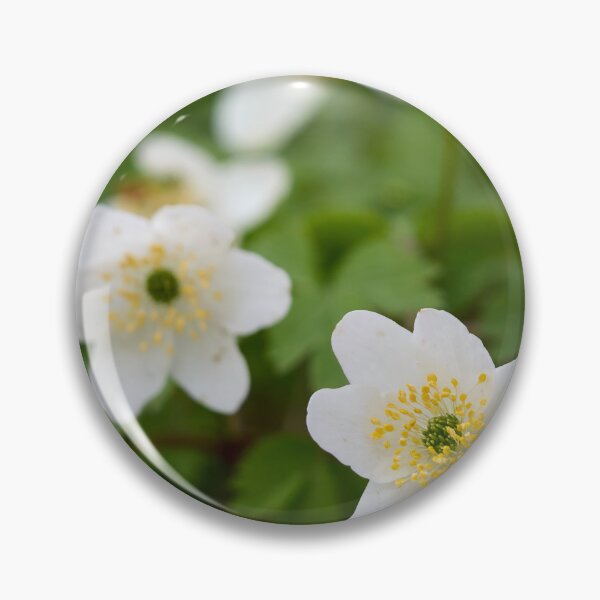 Item preview, The group. Wood Anemone designed and sold by Jouko Lehto Photography.