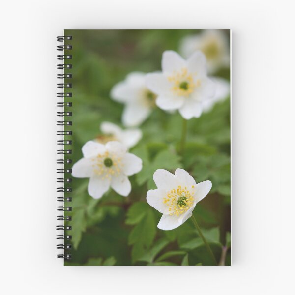 Item preview, The group. Wood Anemone designed and sold by Jouko Lehto Photography.