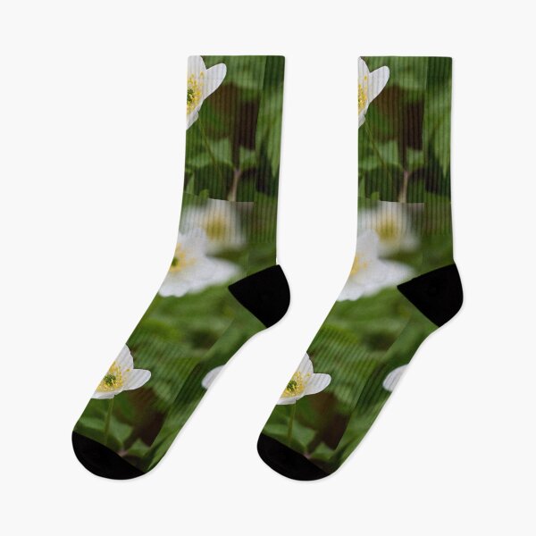 Item preview, The group. Wood Anemone designed and sold by Jouko Lehto Photography.