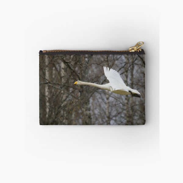 Item preview, Early spring Birches and  a flying Whooper designed and sold by Jouko Lehto Photography.