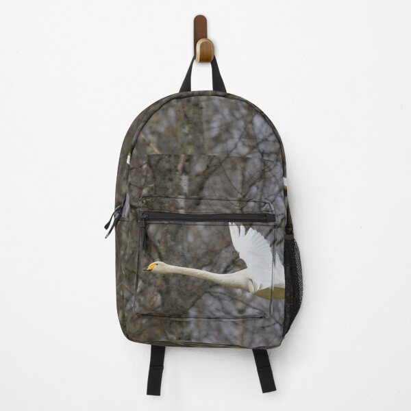 Item preview, Early spring Birches and a flying Whooper designed and sold by Jouko Lehto Photography.