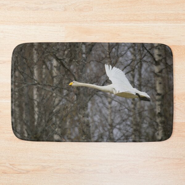 Item preview, Early spring Birches and  a flying Whooper designed and sold by Jouko Lehto Photography.