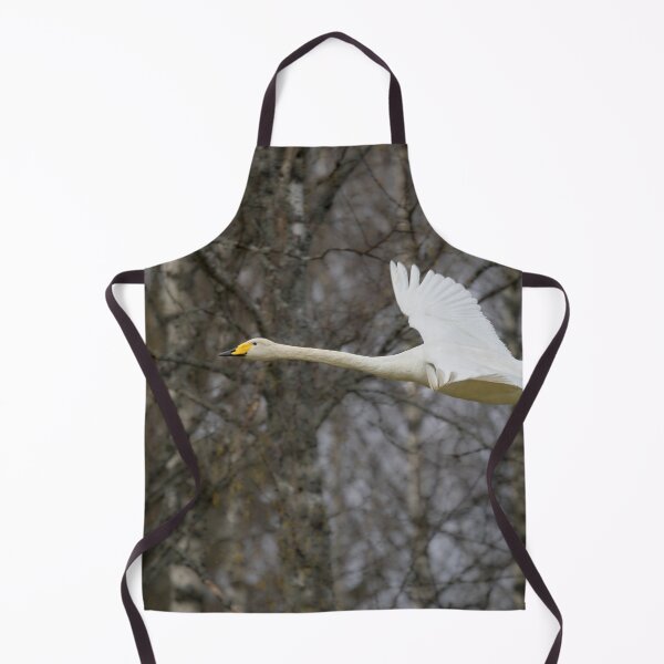 Item preview, Early spring Birches and  a flying Whooper designed and sold by Jouko Lehto Photography.