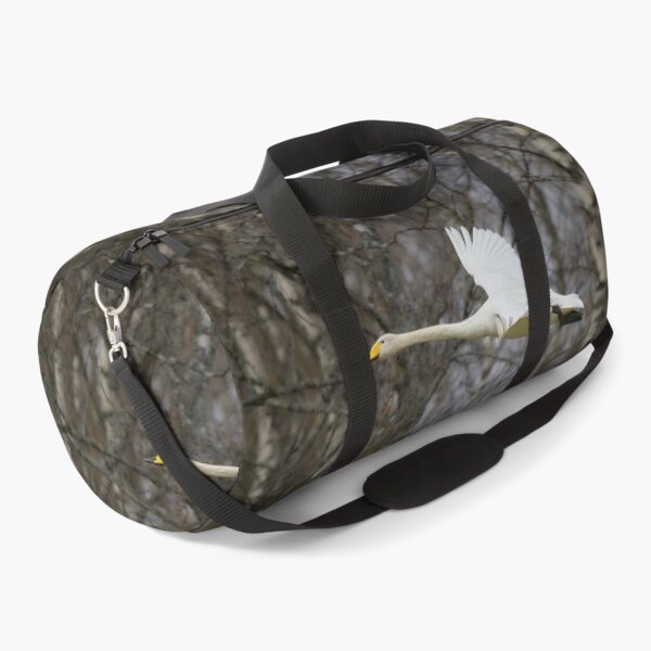 Item preview, Early spring Birches and  a flying Whooper designed and sold by Jouko Lehto Photography.