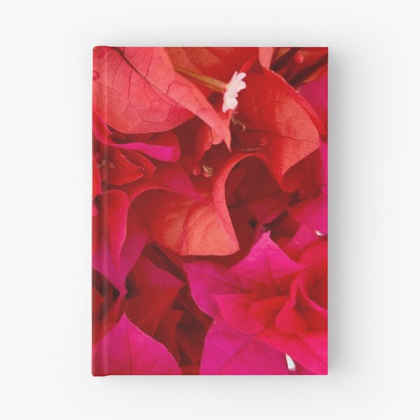 Artikelvorschau, Rosa Bougainvillea entworfen und verkauft von Liesl Kustermann.