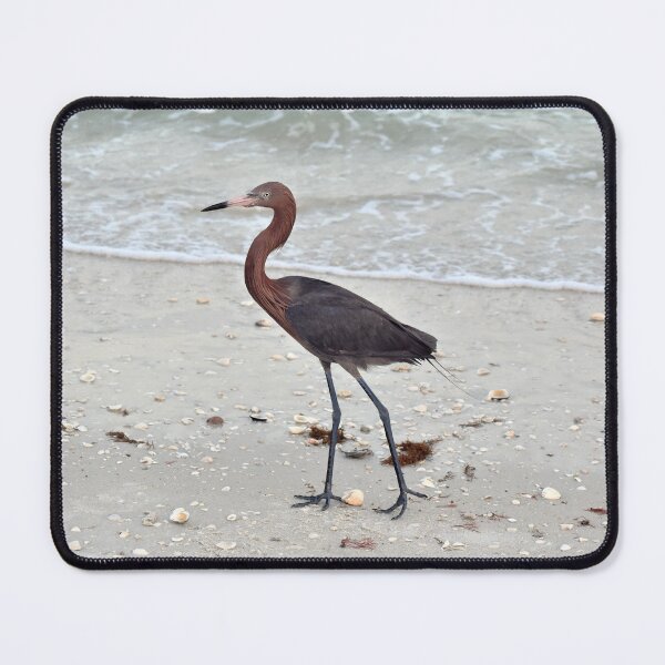 Item preview, Reddish Egret designed and sold by LeslieMac713.