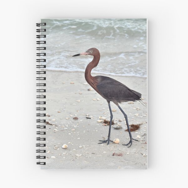 Item preview, Reddish Egret designed and sold by LeslieMac713.