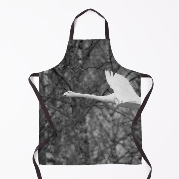 Item preview, Early spring Birches and a flying Whooper bw designed and sold by Jouko Lehto Photography.