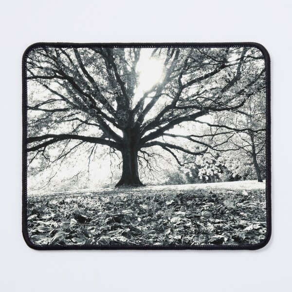 Item preview, The oak celebrating fall designed and sold by Evelynejoyofart.