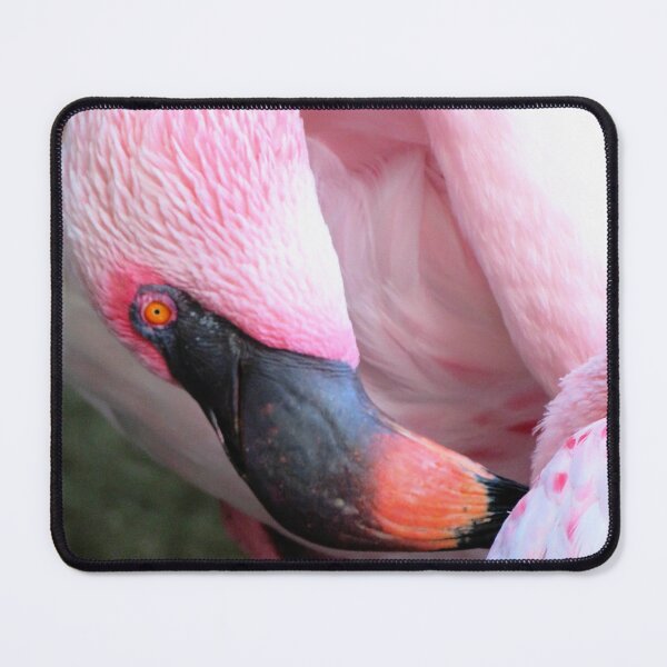 Item preview, Pink Flamingo designed and sold by ShutterbugBttns.