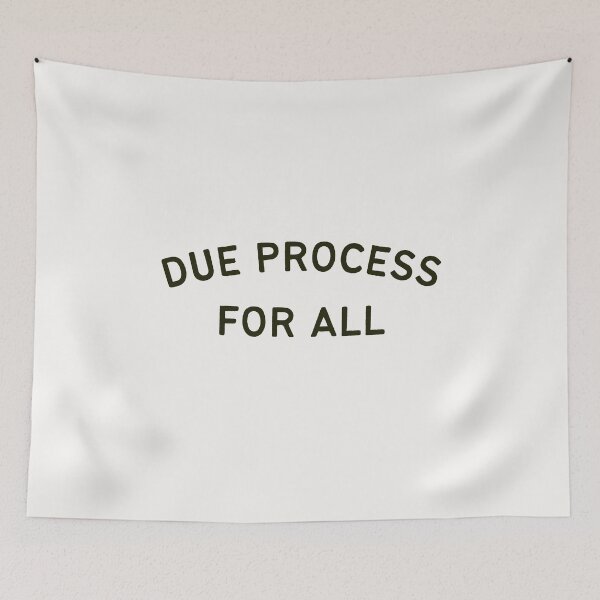 Item preview, Due Process for ALL designed and sold by DesignCollectiv.