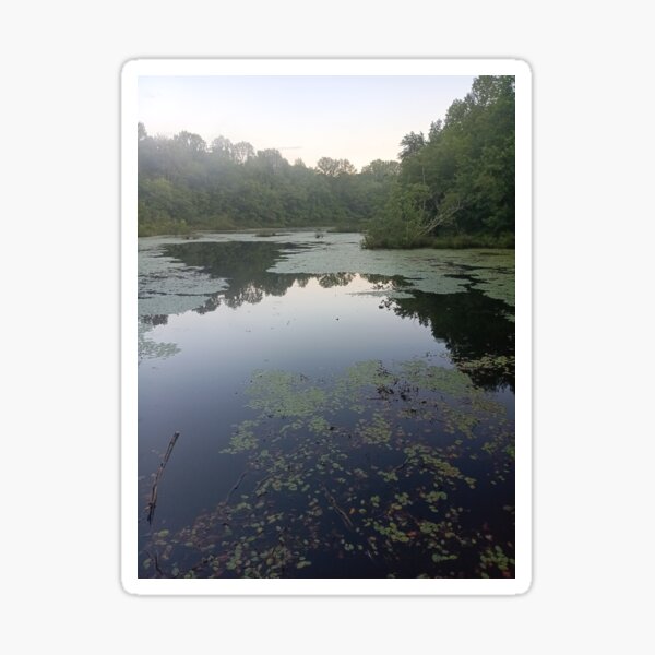 Item preview, Forest Pond designed and sold by Stratospheric Stray Studio .
