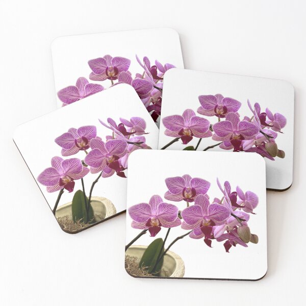 Item preview, Potted Moth Orchid designed and sold by LeslieMac713.