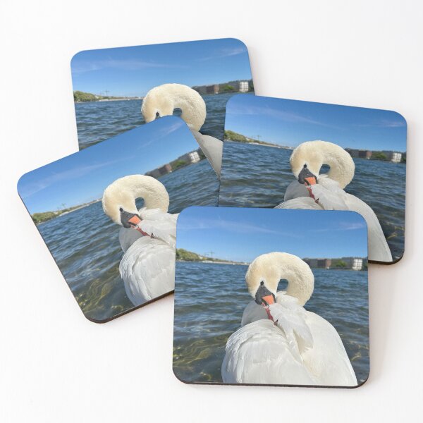 Item preview, Tender Swan • The Lakes, Copenhagen 2025 designed and sold by Mortinus.