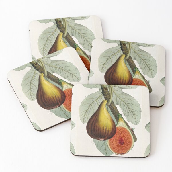 Item preview, Botanical Fig designed and sold by BlueSpecsStudio.