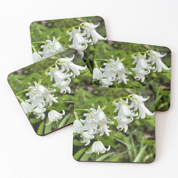 Item preview, White bluebells designed and sold by Tizz07.
