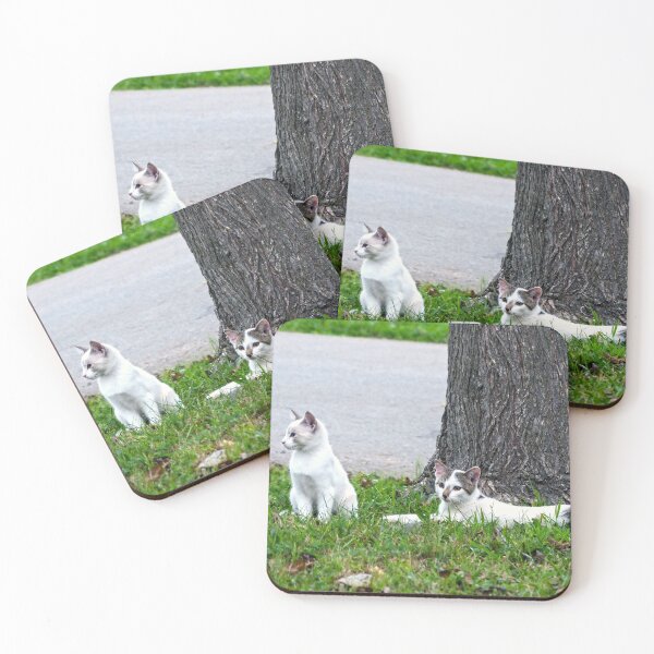 Item preview, Just Hanging Around designed and sold by Frankie Cat Photography.
