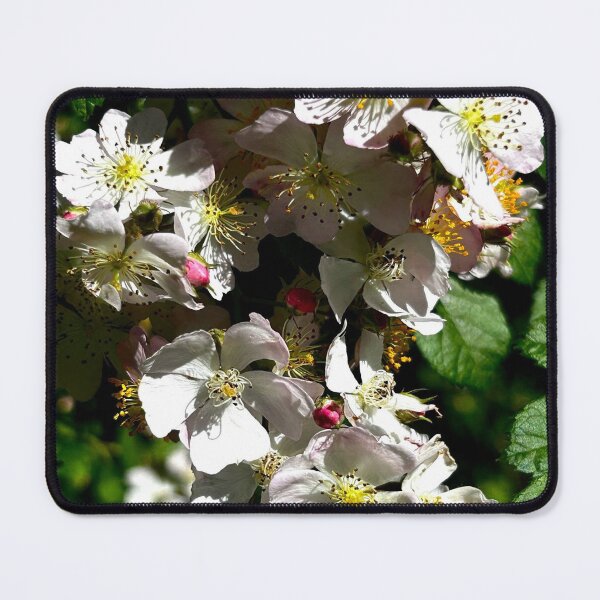 Item preview, FLOWERS designed and sold by WILDCARD WARES.