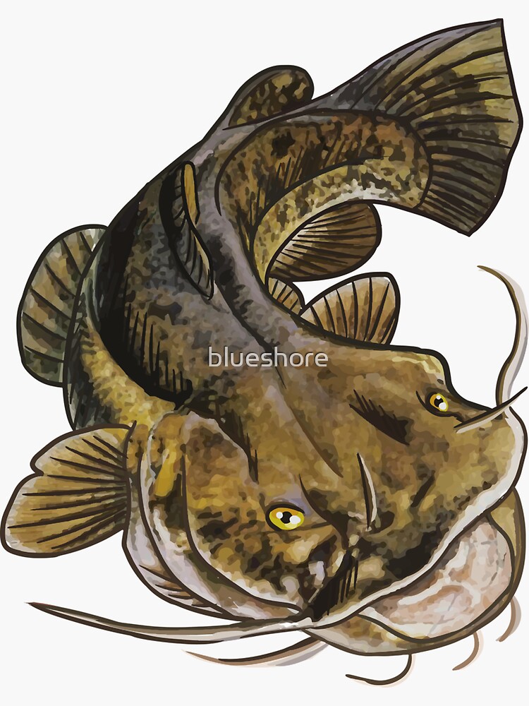 Flathead Catfish Sticker for Sale by blueshore