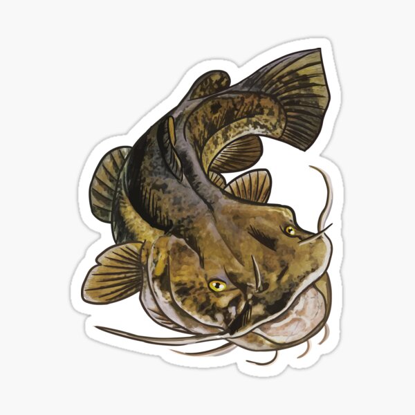 Flathead Catfish Sticker - Catfish Stickers