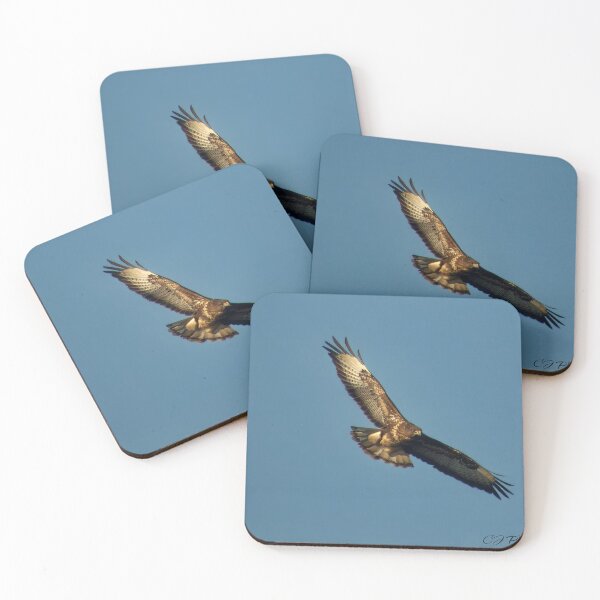 Item preview, Giant buzzard flying high designed and sold by Cjphotography89.