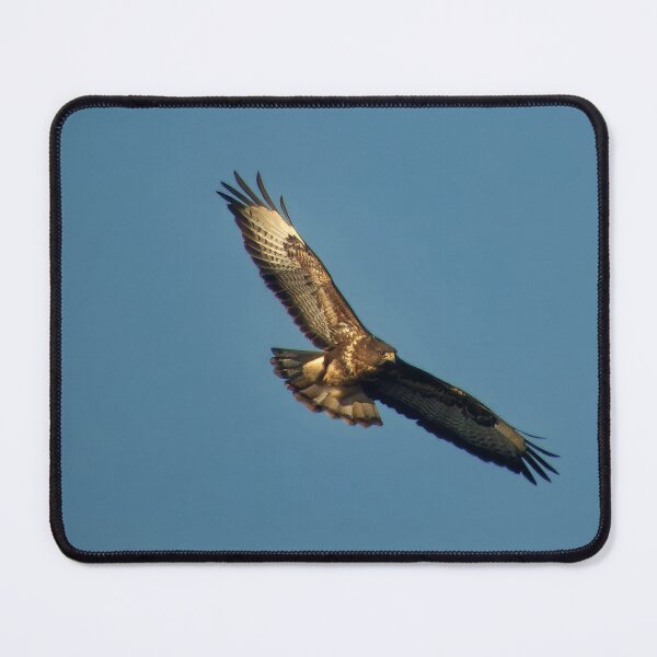 Item preview, Giant buzzard flying high designed and sold by Cjphotography89.