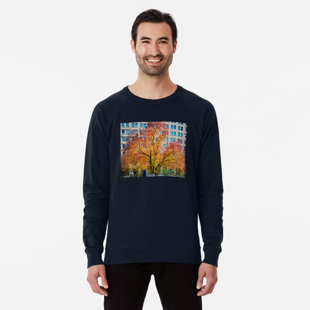 Aperçu de l'œuvre Sweatshirt léger créée et vendue par ArdethBey.