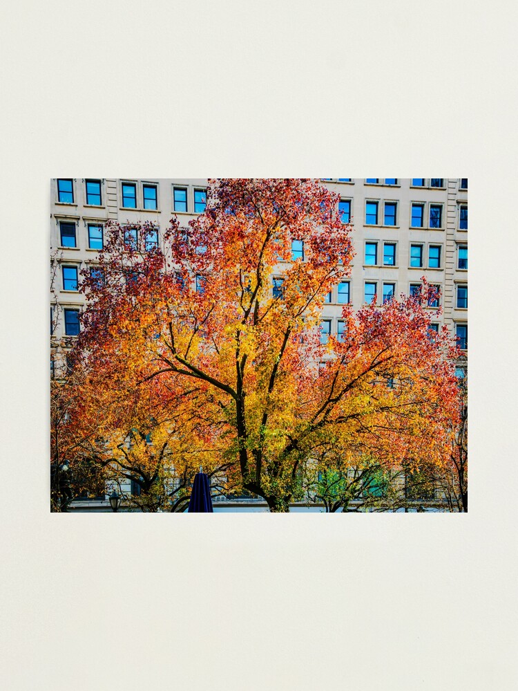 Aperçu 1 sur 3. Impression photo avec l'œuvre L'arbre refuse d'être un arrière-plan créée et vendue par ArdethBey.