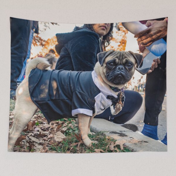 Item preview, Mr. Pug Will See You Now designed and sold by ArdethBey.