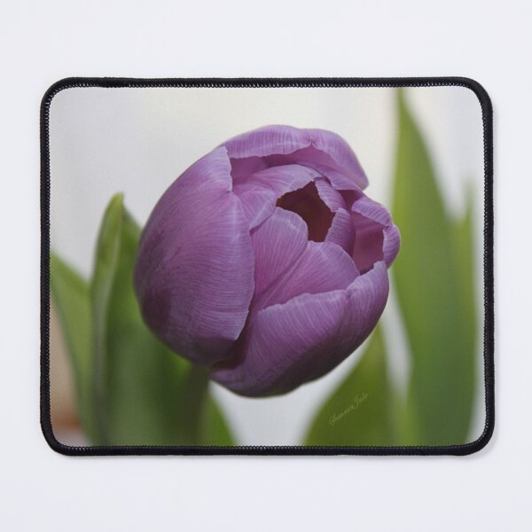 Item preview, If You Love Purple ~ A Tulip designed and sold by SummerJade.