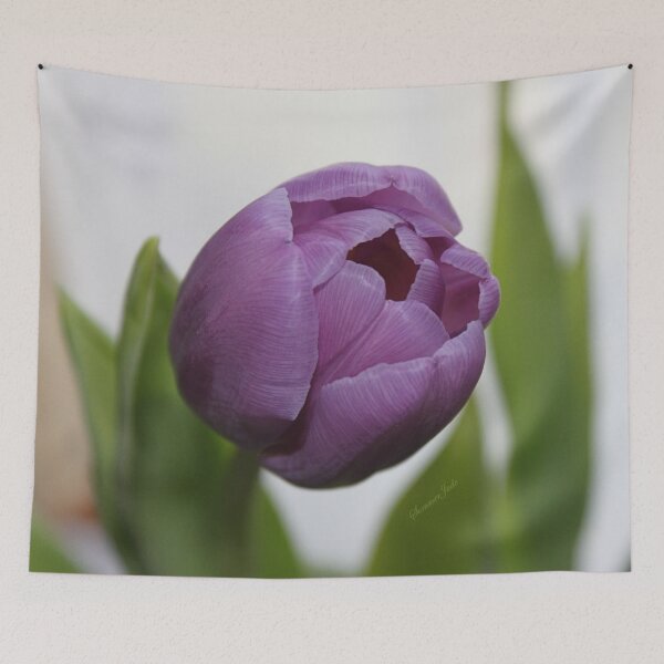 Item preview, If You Love Purple ~ A Tulip designed and sold by SummerJade.
